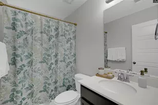 253 Bickley View Ct, Chapin, SC 29036 - Photo 19