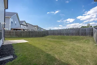 253 Bickley View Court, Chapin, SC 29036 - Photo 23