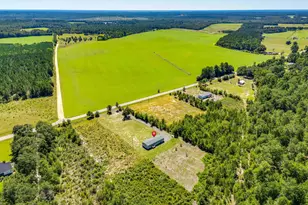 6609 Wagener Rd, Wagener, SC 29164 - Photo 41
