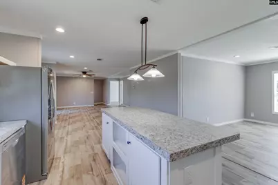 6609 Wagener Road, Wagener, SC 29164 - Photo 11