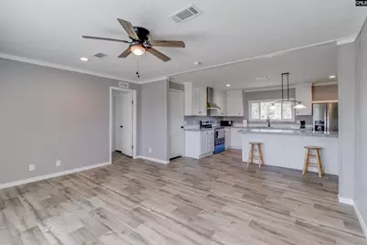 6609 Wagener Road, Wagener, SC 29164 - Photo 7