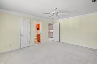 210 Lake Vista Drive, Chapin, SC 29036 - Photo 53