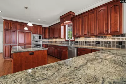 210 Lake Vista Drive, Chapin, SC 29036 - Photo 29