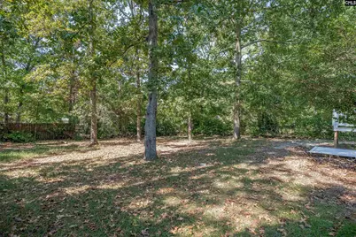 204 River Song Road, Irmo, SC 29063 - Photo 33