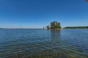 433 Bay Pointe, Lexington, SC 29072 - Photo 59