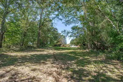 126 Maple Leaf Lane, Batesburg, SC 29006 - Photo 33