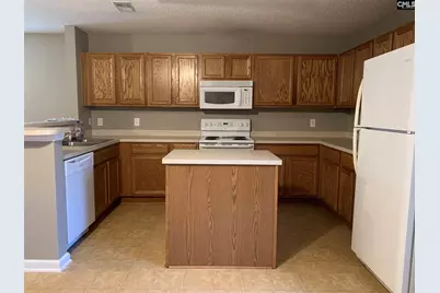 113 Baltic Court, Chapin, SC 29036 - Photo 5