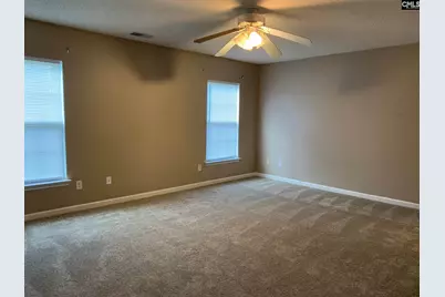 113 Baltic Court, Chapin, SC 29036 - Photo 7