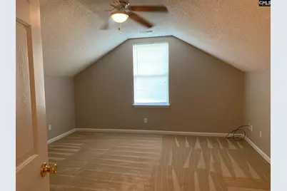 113 Baltic Court, Chapin, SC 29036 - Photo 19