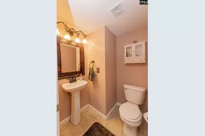 124 Stoney Point Drive, Chapin, SC 29036 - Photo 19