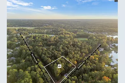 01 Davidson Road, Lexington, SC 29072 - Photo 3