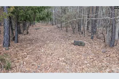 Lot 3 Retreat Way #3, Ridgeway, SC 29130 - Photo 17