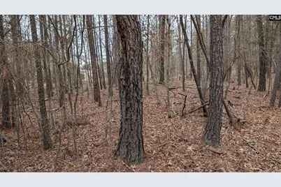 Lot 3 Retreat Way #3, Ridgeway, SC 29130 - Photo 15