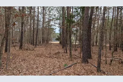 Lot 3 Retreat Way #3, Ridgeway, SC 29130 - Photo 13