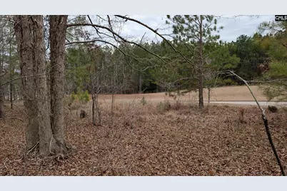Lot 3 Retreat Way #3, Ridgeway, SC 29130 - Photo 7