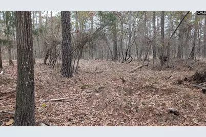 Lot 3 Retreat Way #3, Ridgeway, SC 29130 - Photo 11