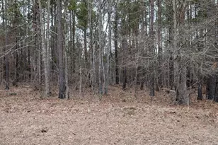 Lot 3 Retreat Way, Ridgeway, SC 29130 - Photo 1