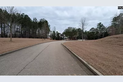 Lot 3 Retreat Way #3, Ridgeway, SC 29130 - Photo 23