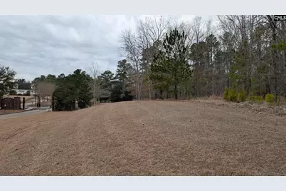 Lot 3 Retreat Way #3, Ridgeway, SC 29130 - Photo 3