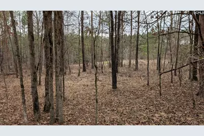 Lot 3 Retreat Way #3, Ridgeway, SC 29130 - Photo 9