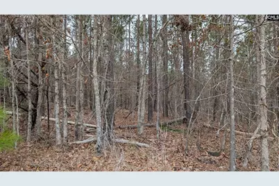 Lot 3 Retreat Way #3, Ridgeway, SC 29130 - Photo 19