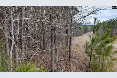 Lot 3 Retreat Way #3, Ridgeway, SC 29130 - Photo 21