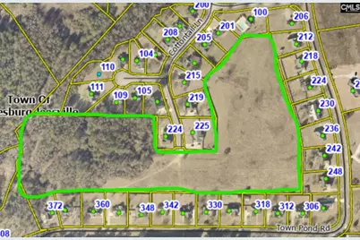 227 Cottontail Lane, Batesburg, SC 29006 - Photo 3