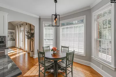 437 Caro Lane, Chapin, SC 29036 - Photo 11