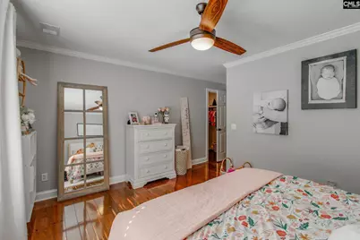 437 Caro Lane, Chapin, SC 29036 - Photo 25