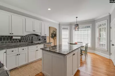 437 Caro Lane, Chapin, SC 29036 - Photo 9