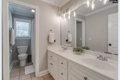 437 Caro Lane, Chapin, SC 29036 - Photo 35
