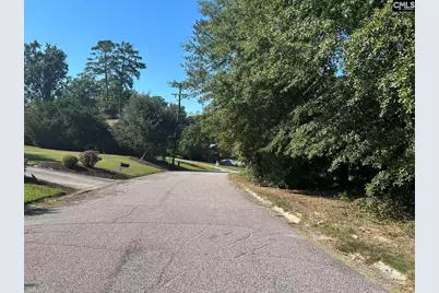 300 Harrow Drive, Columbia, SC 29210 - Photo 3