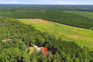 180 Persimmon Dr, Saluda, SC 29138 - Photo 63