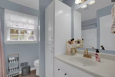 105 Sedgewood Lane, West Columbia, SC 29170 - Photo 19