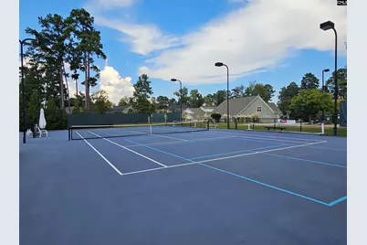 227 Fairway Ridge Drive, Chapin, SC 29036 - Photo 51
