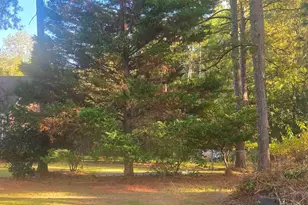 1242 Fredericksburg Dr S, Lugoff, SC 29078 - Photo 27