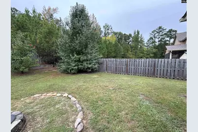 1073 Grey Duck Lane, Blythewood, SC 29016 - Photo 63