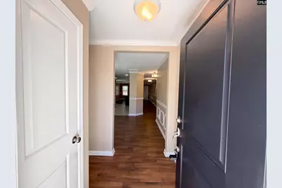 249 Drooping Leaf Road, Lexington, SC 29072 - Photo 11