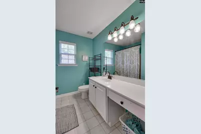206 Coopers Hawk Circle, Irmo, SC 29063 - Photo 21