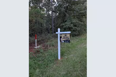 0 Persimmon Dr, Saluda, SC 29138 - Photo 3