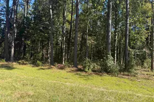 2274 Crowder Rd, Kinards, SC 29460 - Photo 1