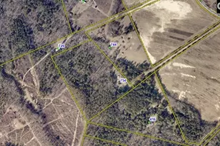 754 Athens School Rd, Swansea, SC 29160 - Photo 11