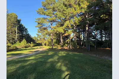 754 Athens School Road, Swansea, SC 29160 - Photo 5