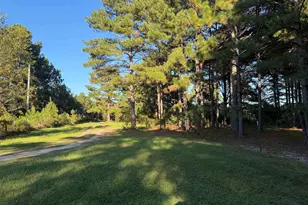 754 Athens School Rd, Swansea, SC 29160 - Photo 5