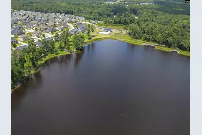 217 Golden Fluke Drive, Lexington, SC 29072 - Photo 53