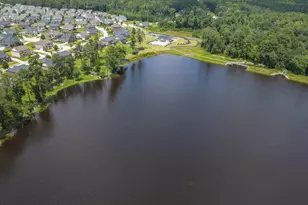 217 Golden Fluke Dr, Lexington, SC 29072 - Photo 53