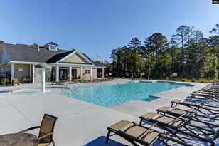 217 Golden Fluke Dr, Lexington, SC 29072 - Photo 55