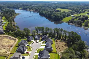 217 Golden Fluke Dr, Lexington, SC 29072 - Photo 61