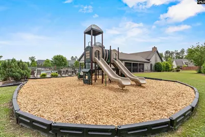 482 Malachite Lane, Chapin, SC 29036 - Photo 41