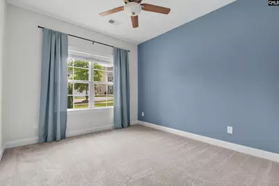 482 Malachite Lane, Chapin, SC 29036 - Photo 23